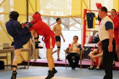 1400424561_img_0017