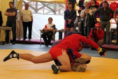 1400424565_img_0060